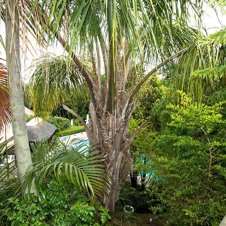 Hotel Hazelwood House Stellenbosch Zewnętrze zdjęcie