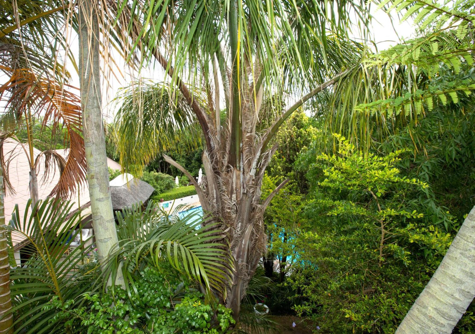 Hotel Hazelwood House Stellenbosch Zewnętrze zdjęcie